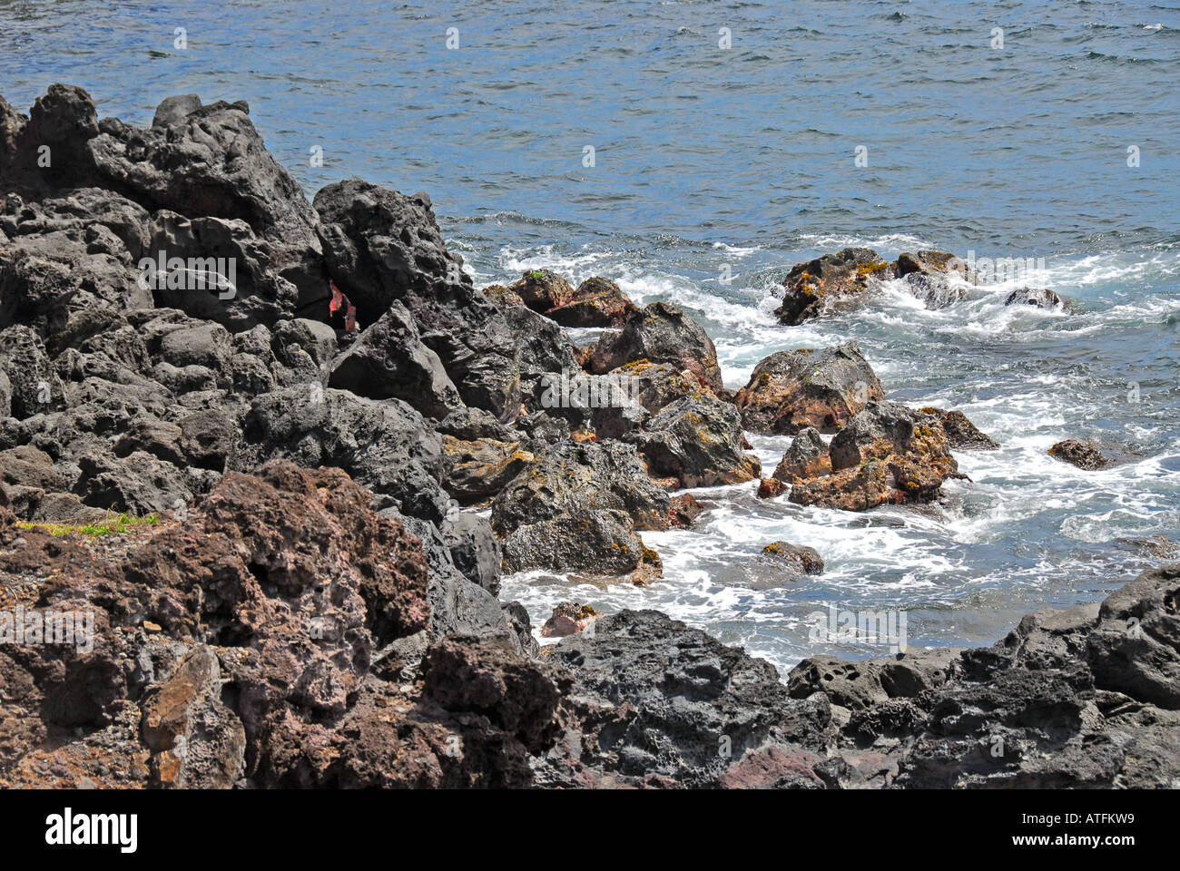 Chile Osterinsel Hanga Roa Felsenküste Stockfoto
