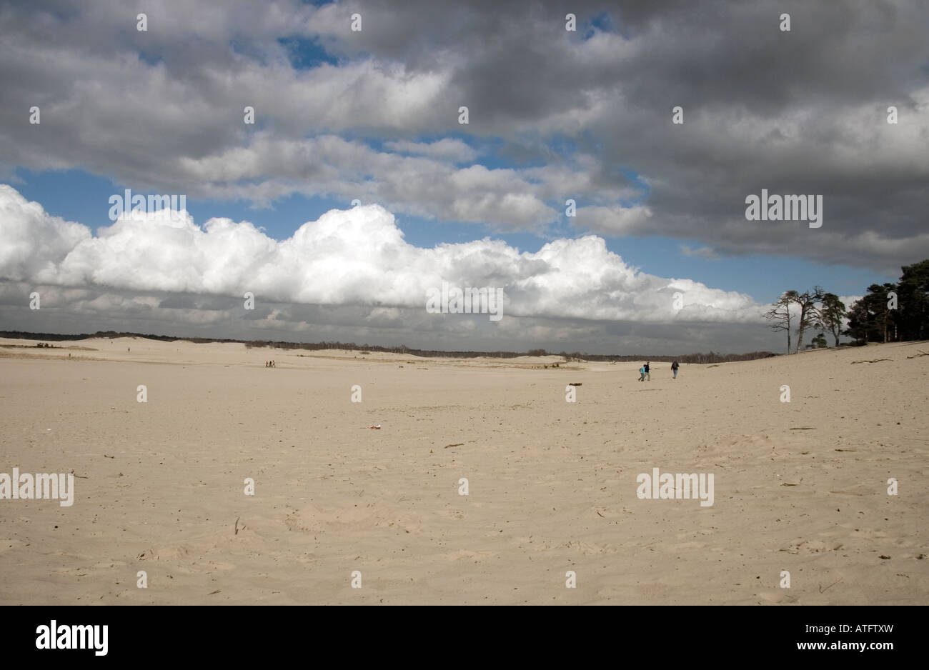 Dünen von Drunen Stockfoto