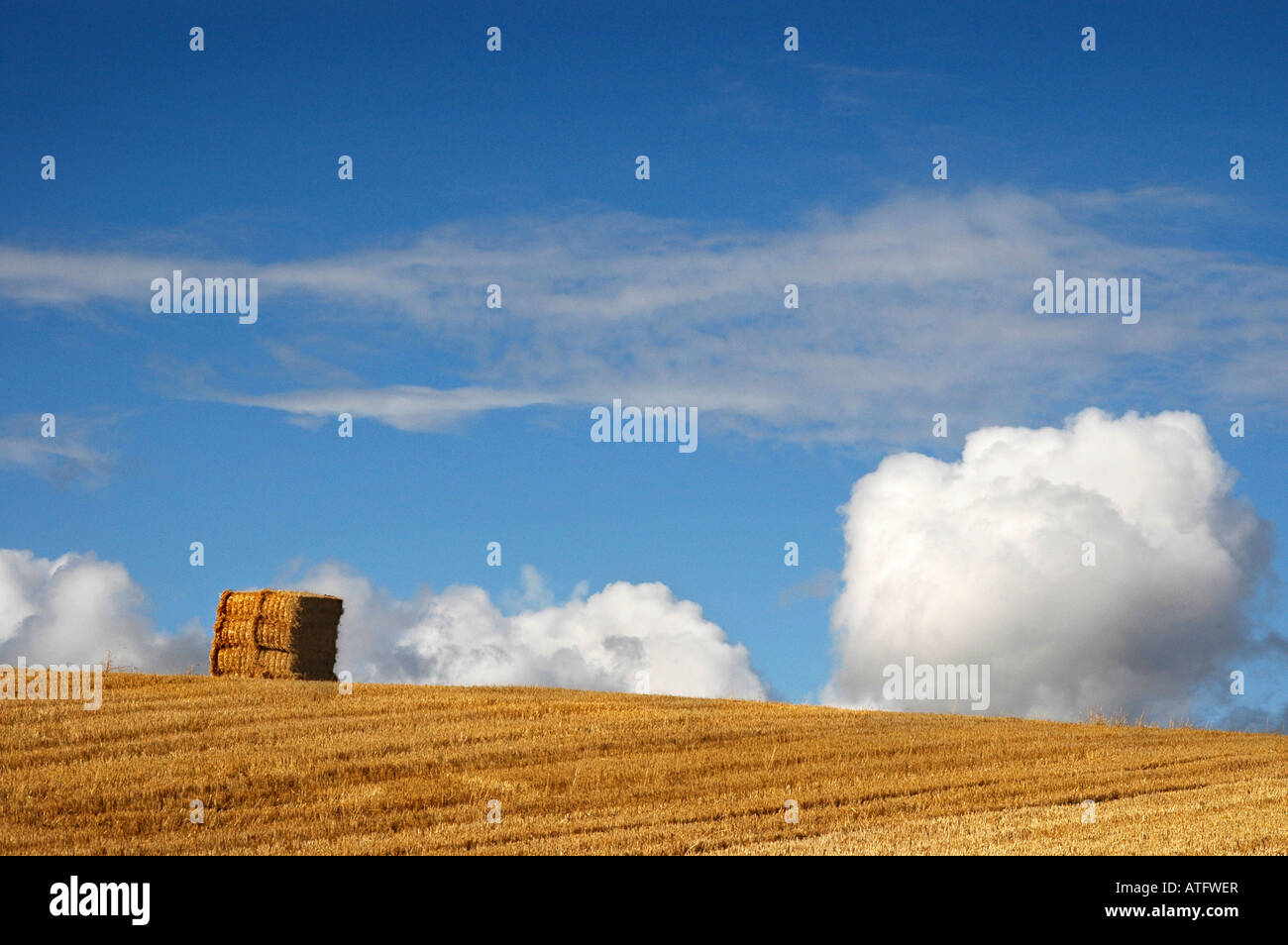 Ein Stapel von Heu sitzt auf der Stirn von Feldinhalten geerntete Gerste gegen einen Sommerhimmel fluffly weißen Wolken. Stockfoto