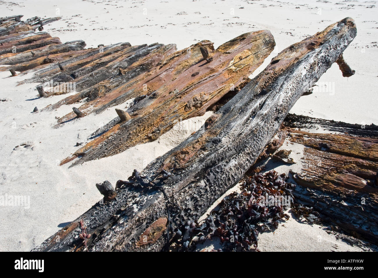 Reste eines zerstörten hölzernen Schiff an einem Strand Schottland Stockfoto