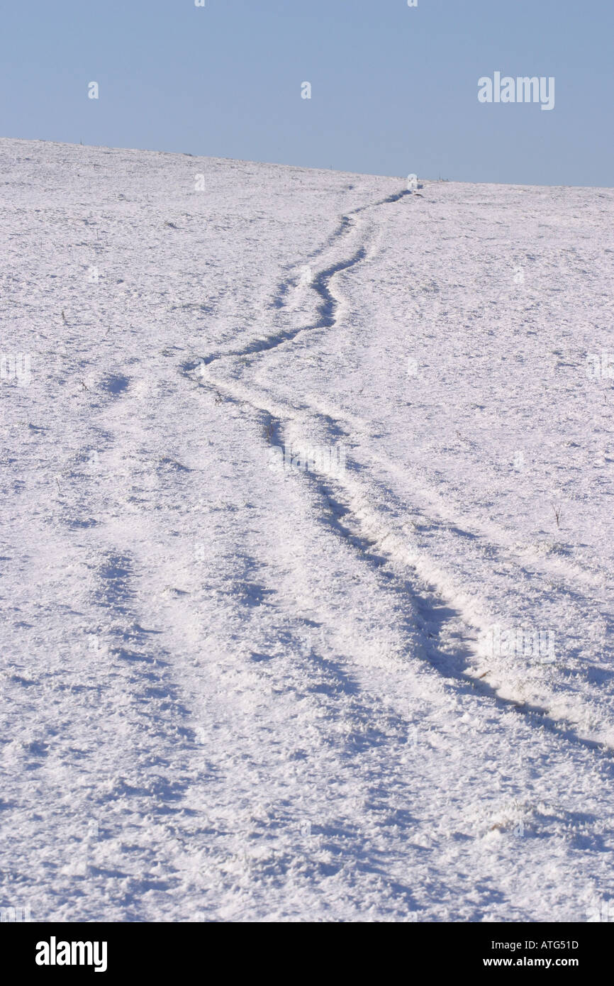 Frische Spuren im Schnee bedeckt Feld auf die Mendip Hills in Somerset mitten im Winter Januar Stockfoto