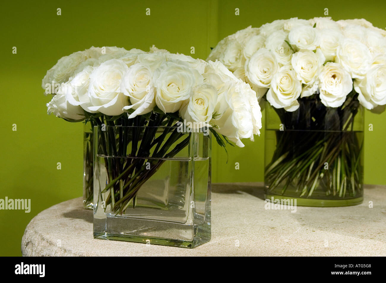 Weiße Rosen Stockfoto