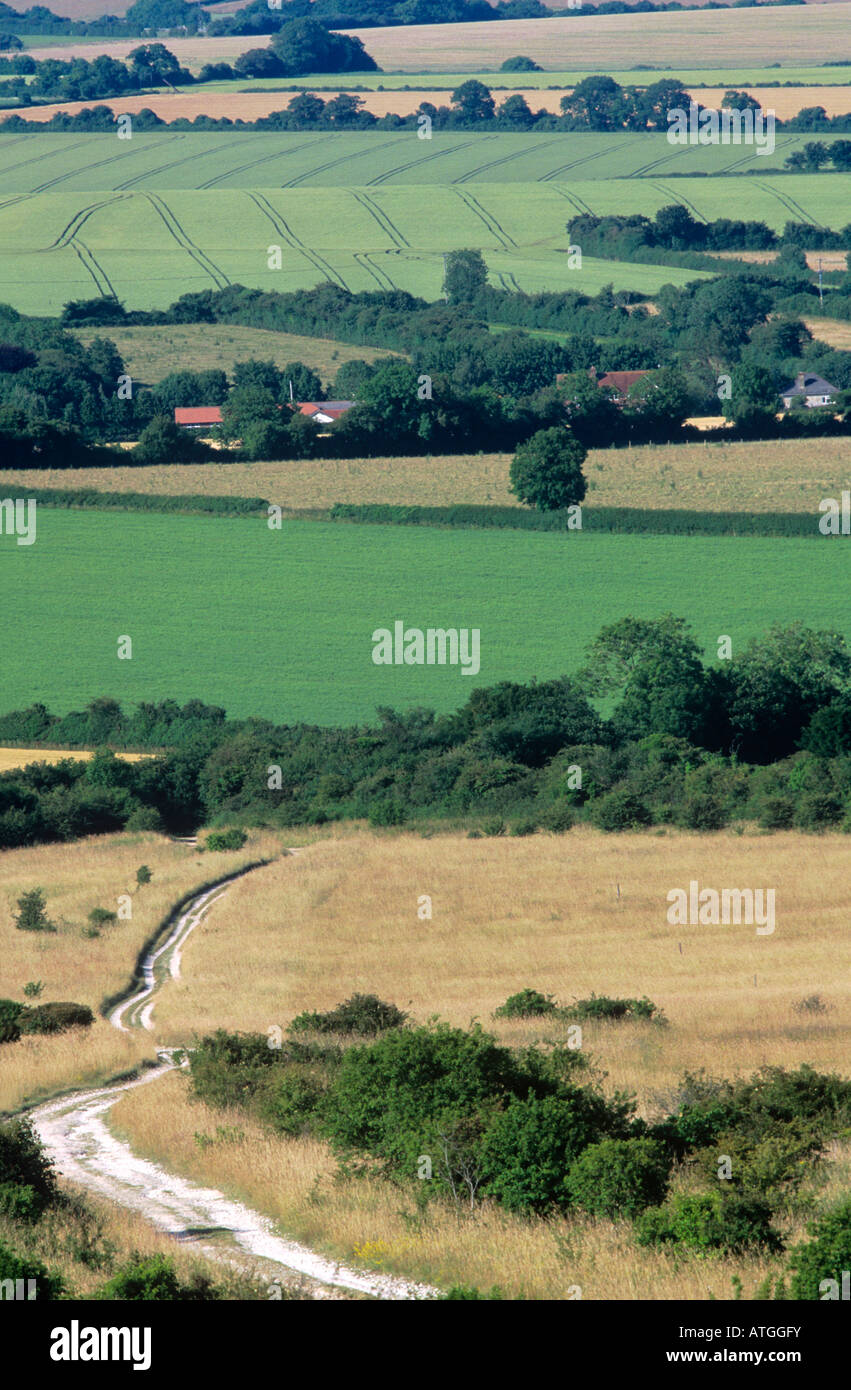 Patchwork Ackerland, Wiltshire, England. Stockfoto