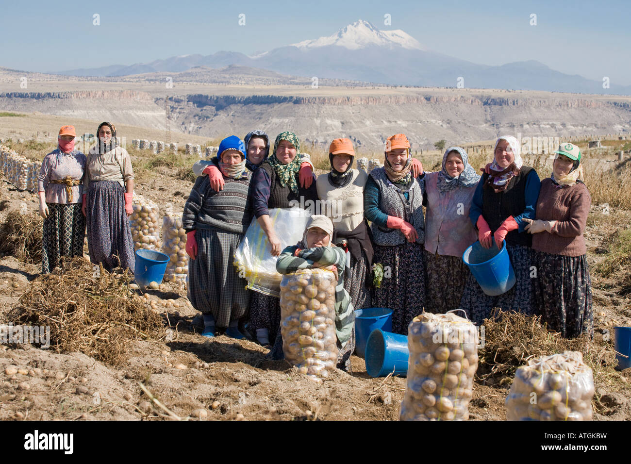 Kartoffel-Kommissionierung-Crew. Eine Gruppe von 12 Kartoffel Kommissionierer mit volle Säcke Kartoffeln des Erciyes hinter der schneebedeckten Gipfel Stockfoto