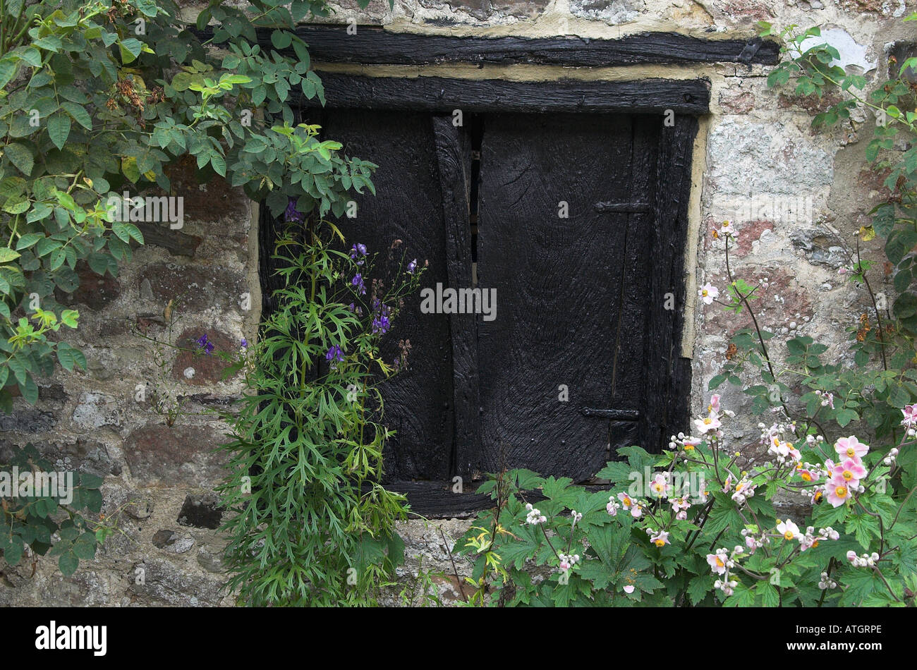 Black Shutters Stockfotos & Black Shutters Bilder - Alamy