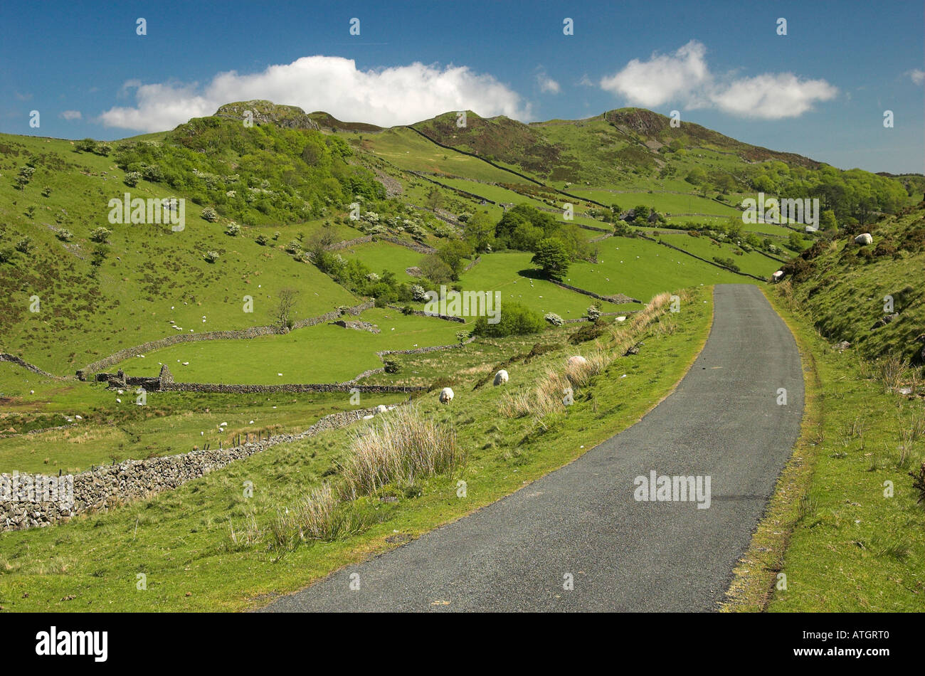 Eine hügelige Landschaft nahe dem Ortszentrum, Gwynedd, Wales Stockfoto