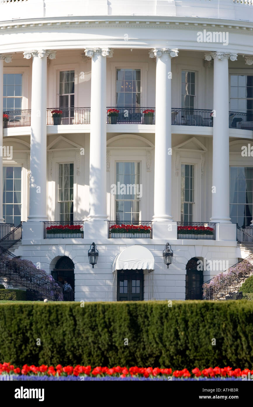 Nahaufnahme von der Rückseite des weißen Hauses, Washington DC, mit dem Truman Balcony im Frühling mit Tulpen und Glyzinien. Stockfoto