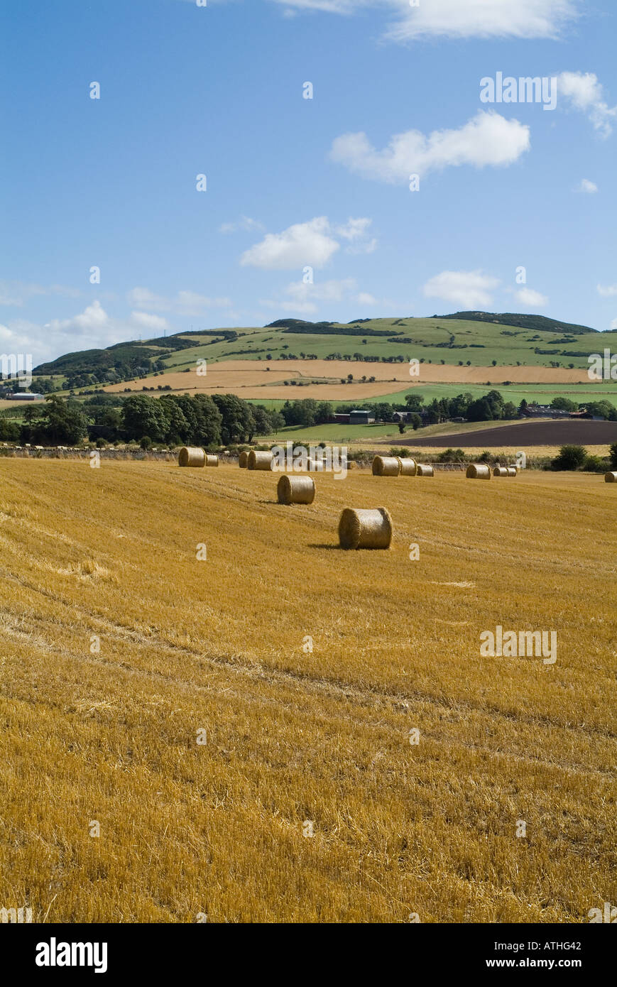 dh ORMISTON HILL PERTHSHIRE Scottish Fields Gerstenstrohsäcke in der Landwirtschaft landwirtschaftliche Ballen auf dem Land Schottland Ballen Stockfoto