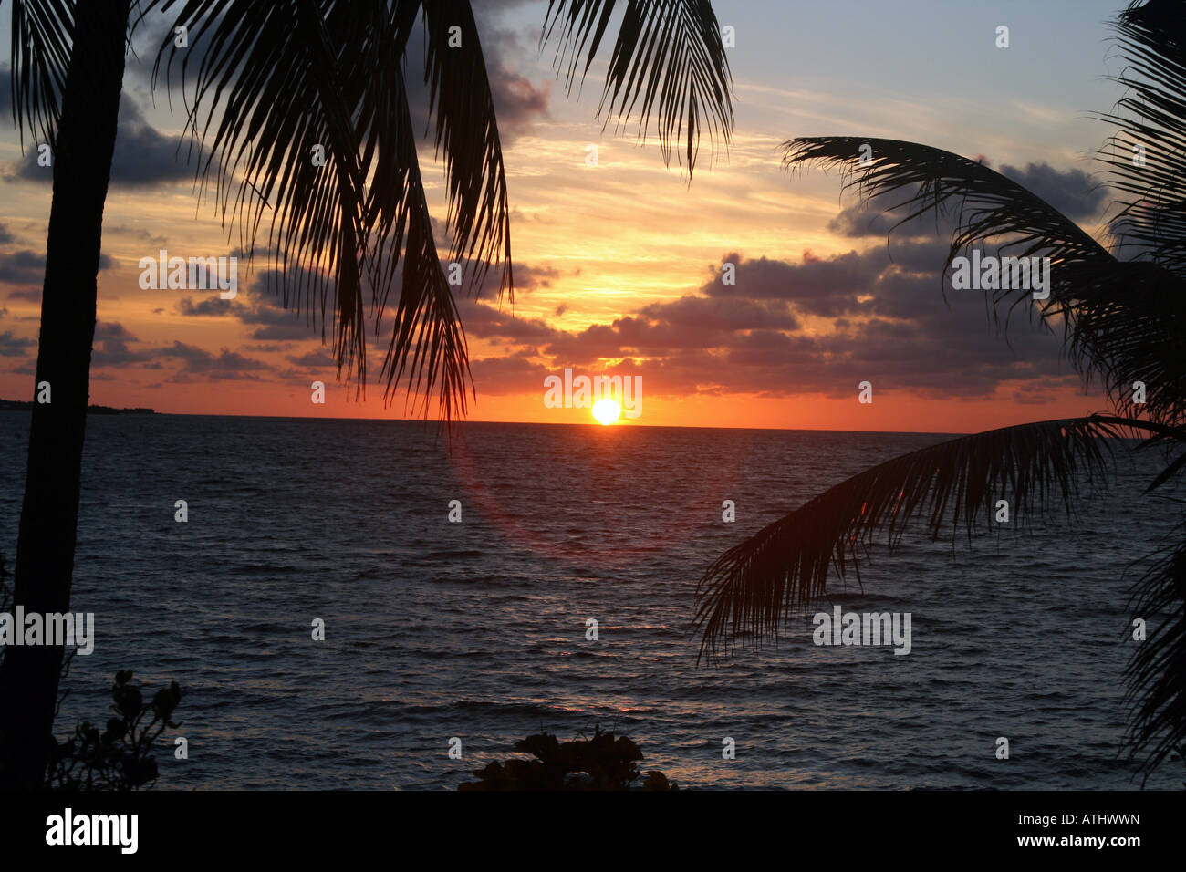 Der aufgehenden Sonne über der Karibik und Palmen auf der Insel Guanaja ...