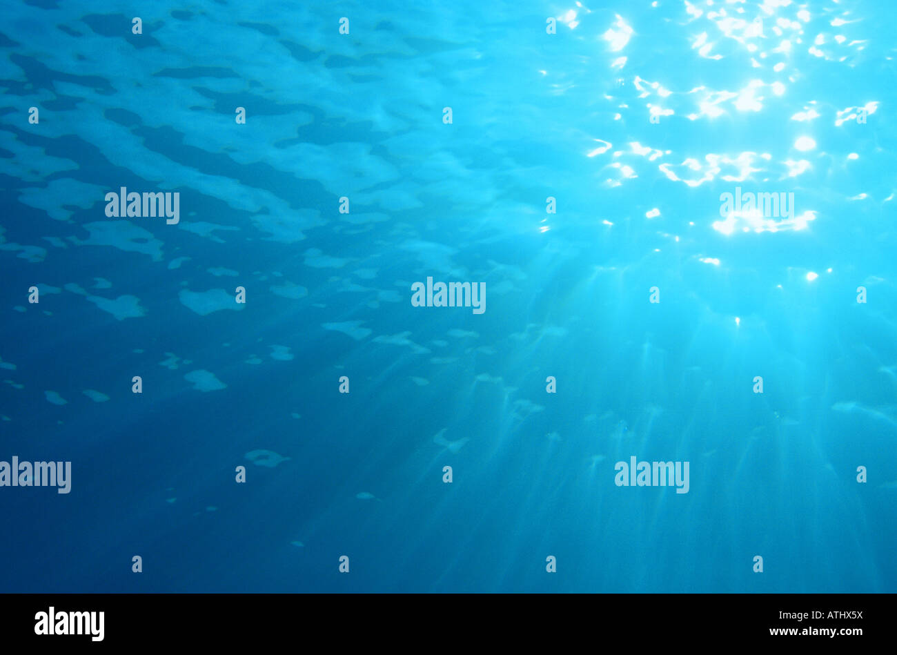 Wasser Und Sonne Strahlen Klares Wasser Blaues Wasser Ozean Meer Tauchen Tauchen Unterwasser Oberflache Blau Visionen Stockfotografie Alamy