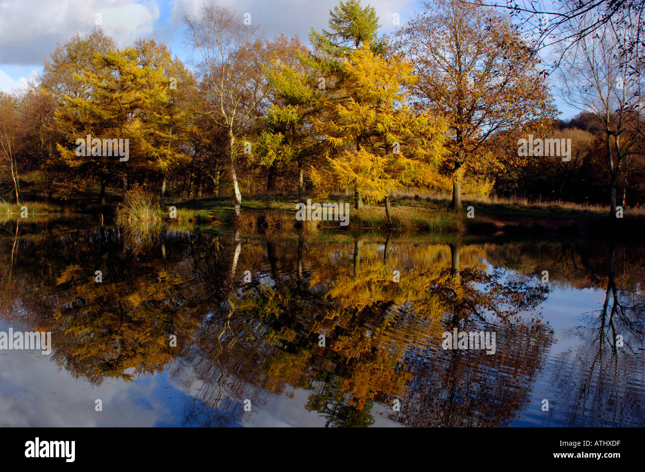 Herbst Reflexionen Stockfoto