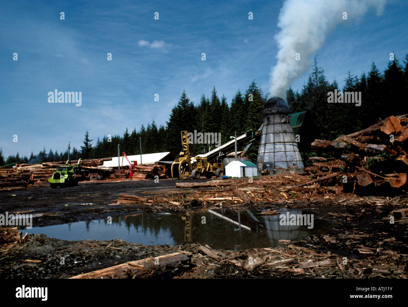 WA Washington State Olympic Nationalpark Logging in der Nähe von Park ...
