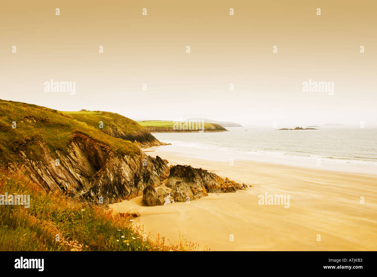 Pembrokeshire Küste, Whitesands Bay Stockfoto