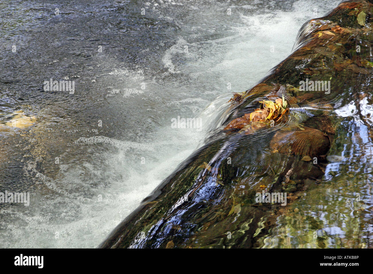 Butte Creek fließt ruhig durch Parks und Naturschutzgebiete in Chico, CA Stockfoto