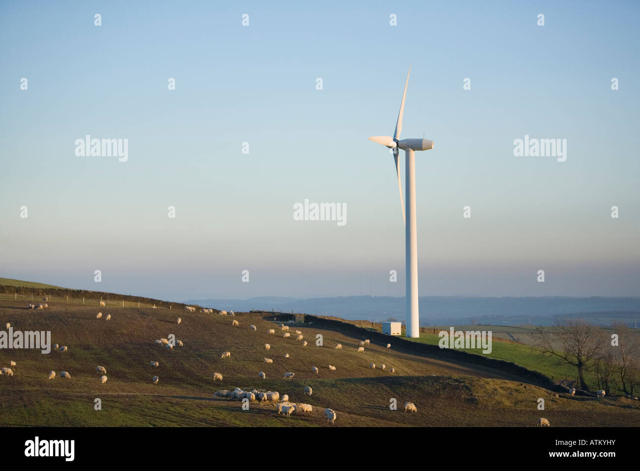 Einzelne Windkraftanlage gegen späten Nachmittag blauem Himmel mit Schafbeweidung auf einem Hügel Stockfoto