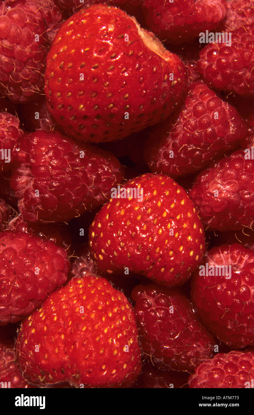 Erdbeeren und Himbeeren Stockfoto