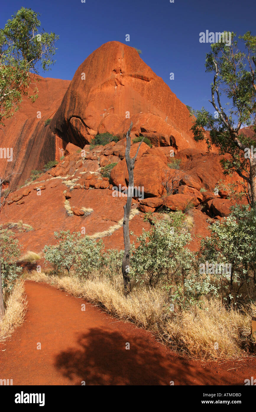 Der kreisförmige Wanderweg rund um Ayers Rock Uluru ist hellrot im morgendlichen Sonnenlicht outback Wüste Northern territory Stockfoto