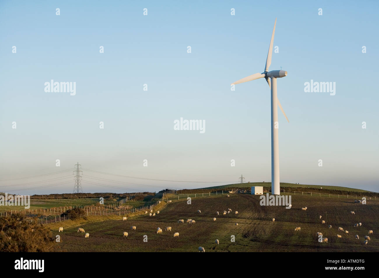 Einzelne Windkraftanlage auf einem Hügel gegen einen späten Nachmittag Blauer Himmel mit Schafen, die auf einem Hügel grasen Stockfoto