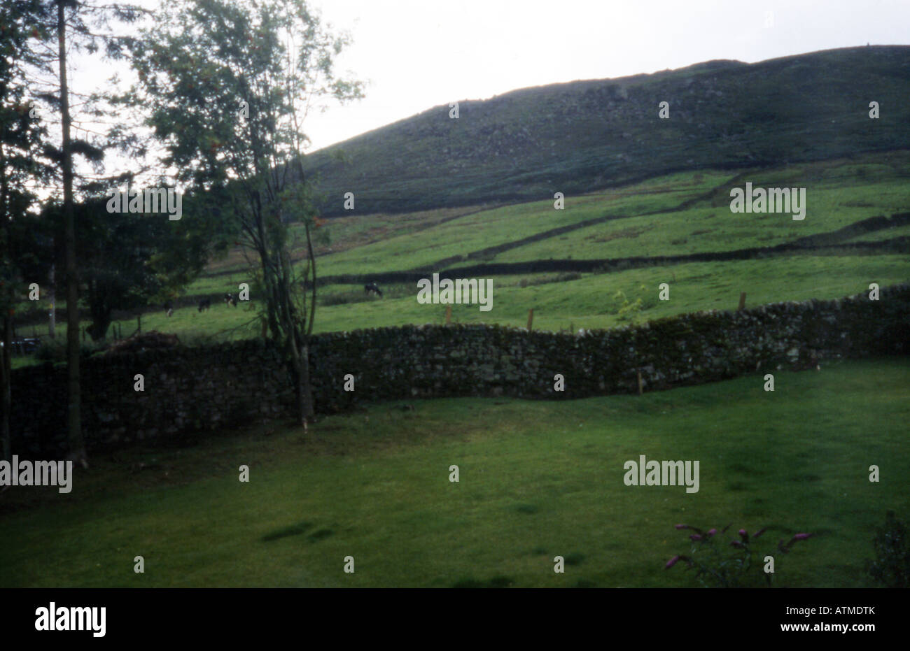 Land ländlichen Bauernhof Wand Stein Rasen Regen uk Stockfoto