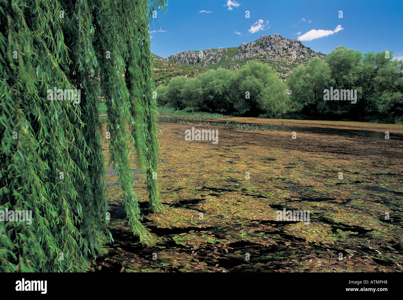 Sumbas Fluss ist einer der Nebenflüsse des Ceyhan Fluss Adana Türkei Stockfoto