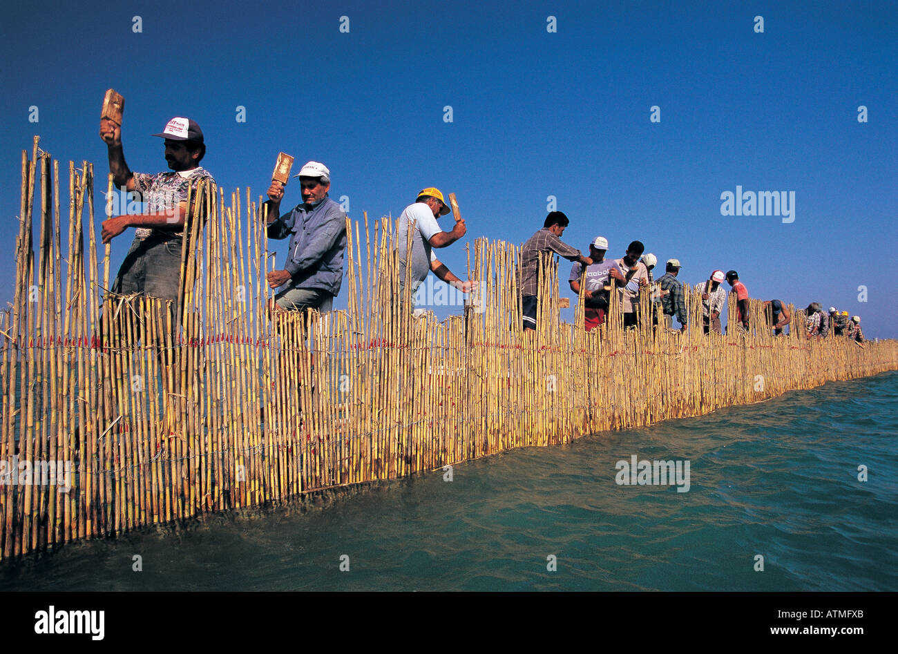 Fischer setzen eine Meile lang Fischfalle in Camlik See von Yumurtalik Adana Türkei Stockfoto