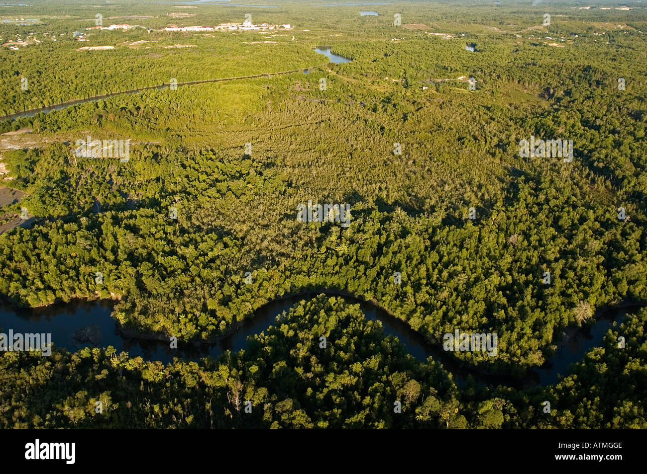 Luftaufnahme der Mangrovenwälder in Kuching und Sarawak River Borneo Malaysia Stockfoto