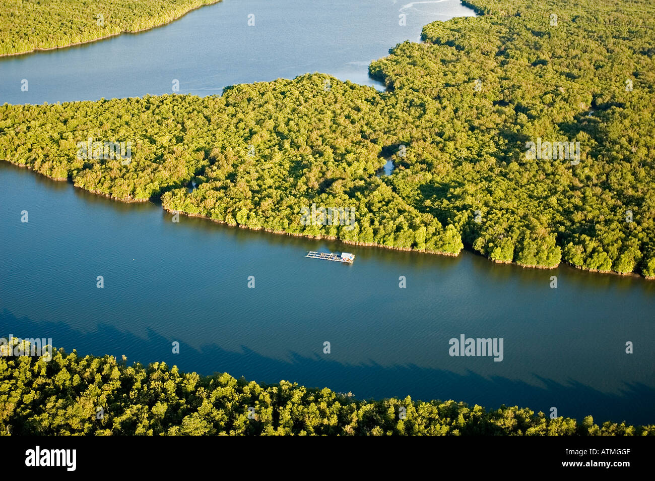 Luftaufnahme der Mangrovenwälder in Kuching und Sarawak River Borneo Malaysia Stockfoto