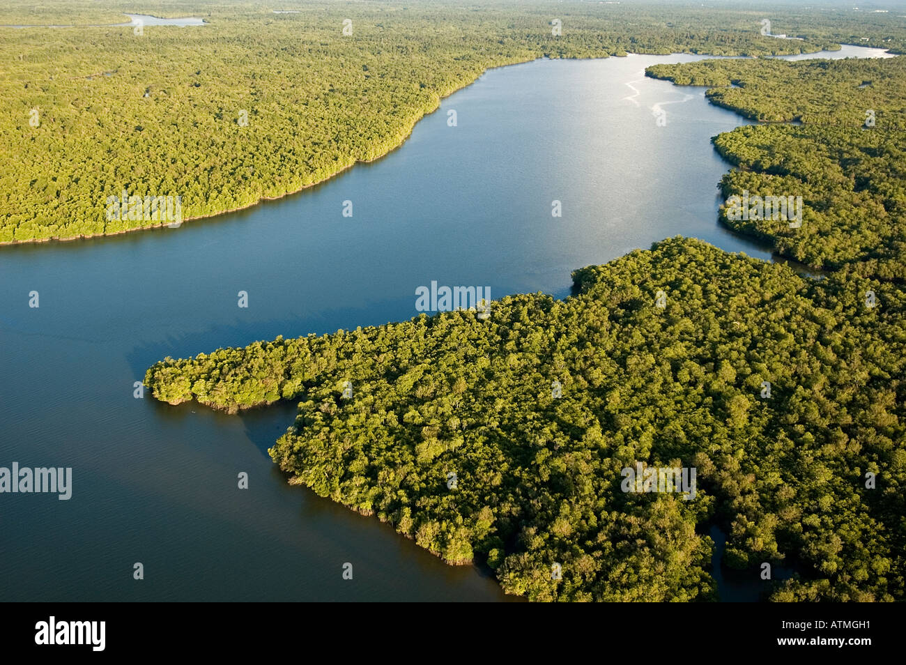 Luftaufnahme der Mangrovenwälder in Kuching und Sarawak River Borneo Malaysia Stockfoto