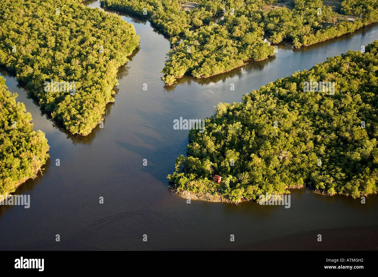 Luftaufnahme der Mangrovenwälder in Kuching und Sarawak River Borneo Malaysia Stockfoto