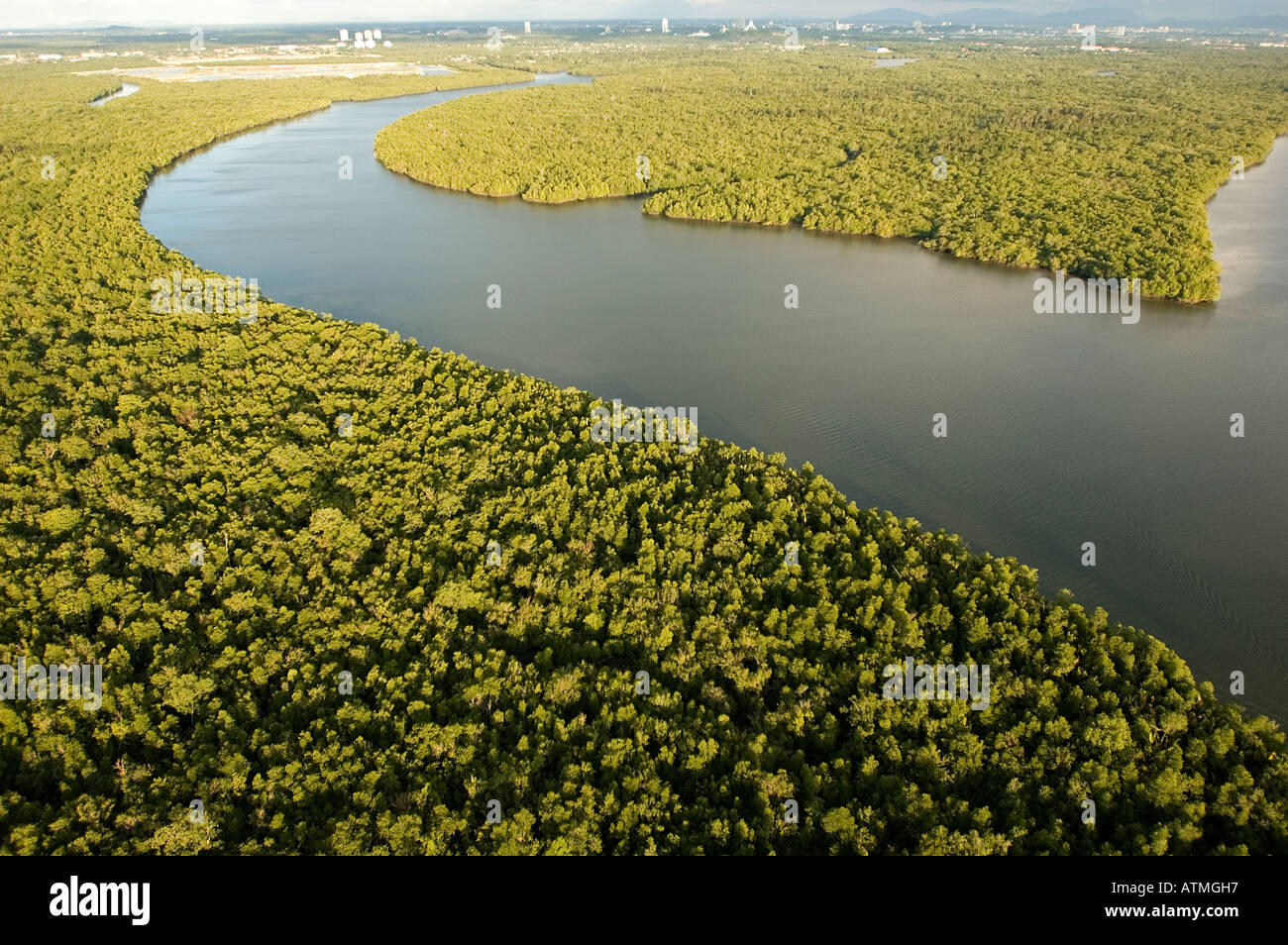 Luftaufnahme der Mangrovenwälder in Kuching und Sarawak River Borneo Malaysia Stockfoto