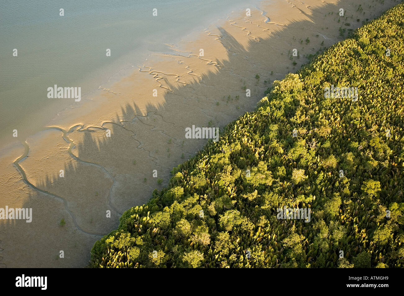 Luftaufnahme der Mangrovenwälder in Kuching und Sarawak River Borneo Malaysia Stockfoto