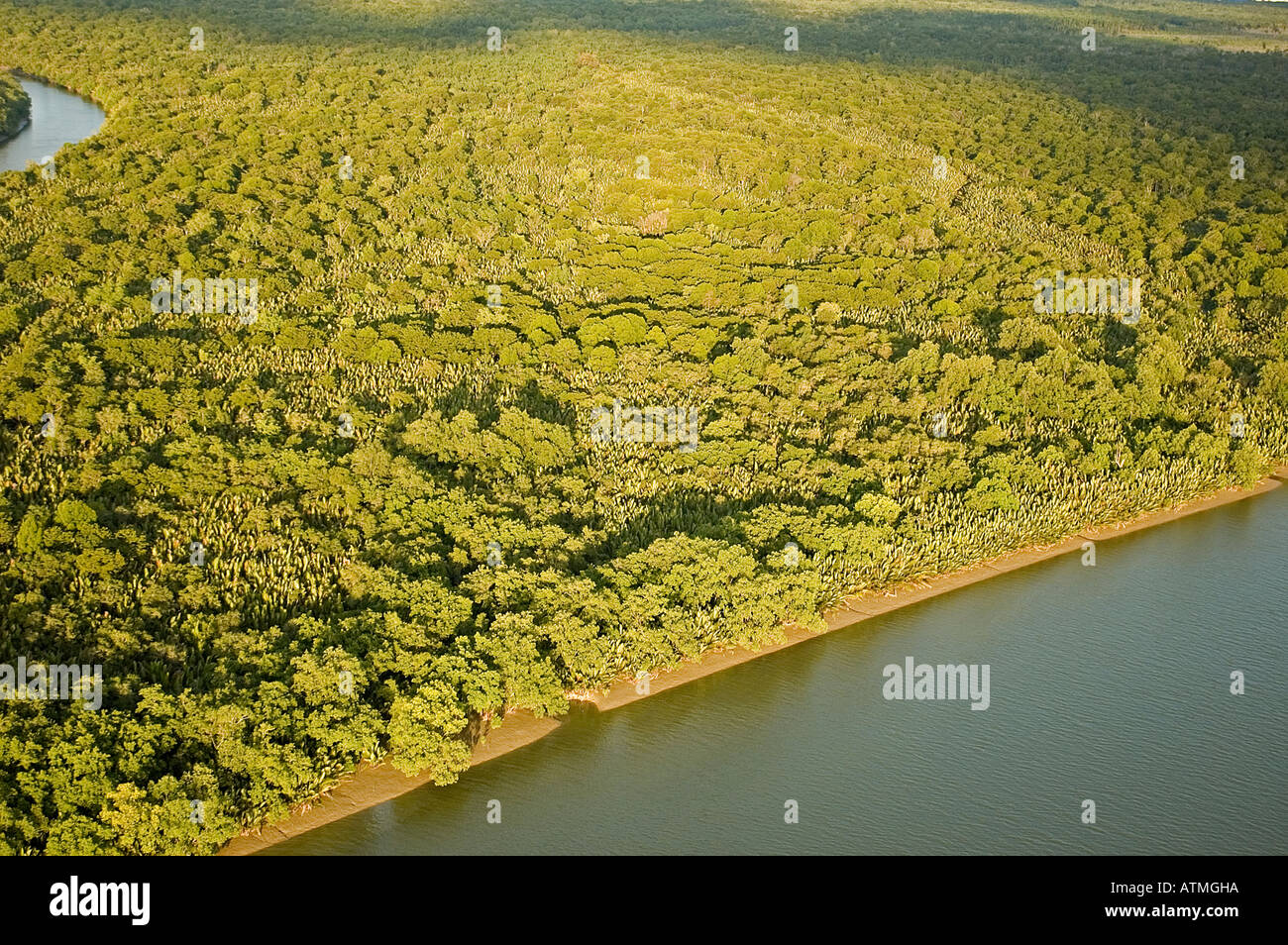 Luftaufnahme der Mangrovenwälder in Kuching und Sarawak River Borneo Malaysia Stockfoto