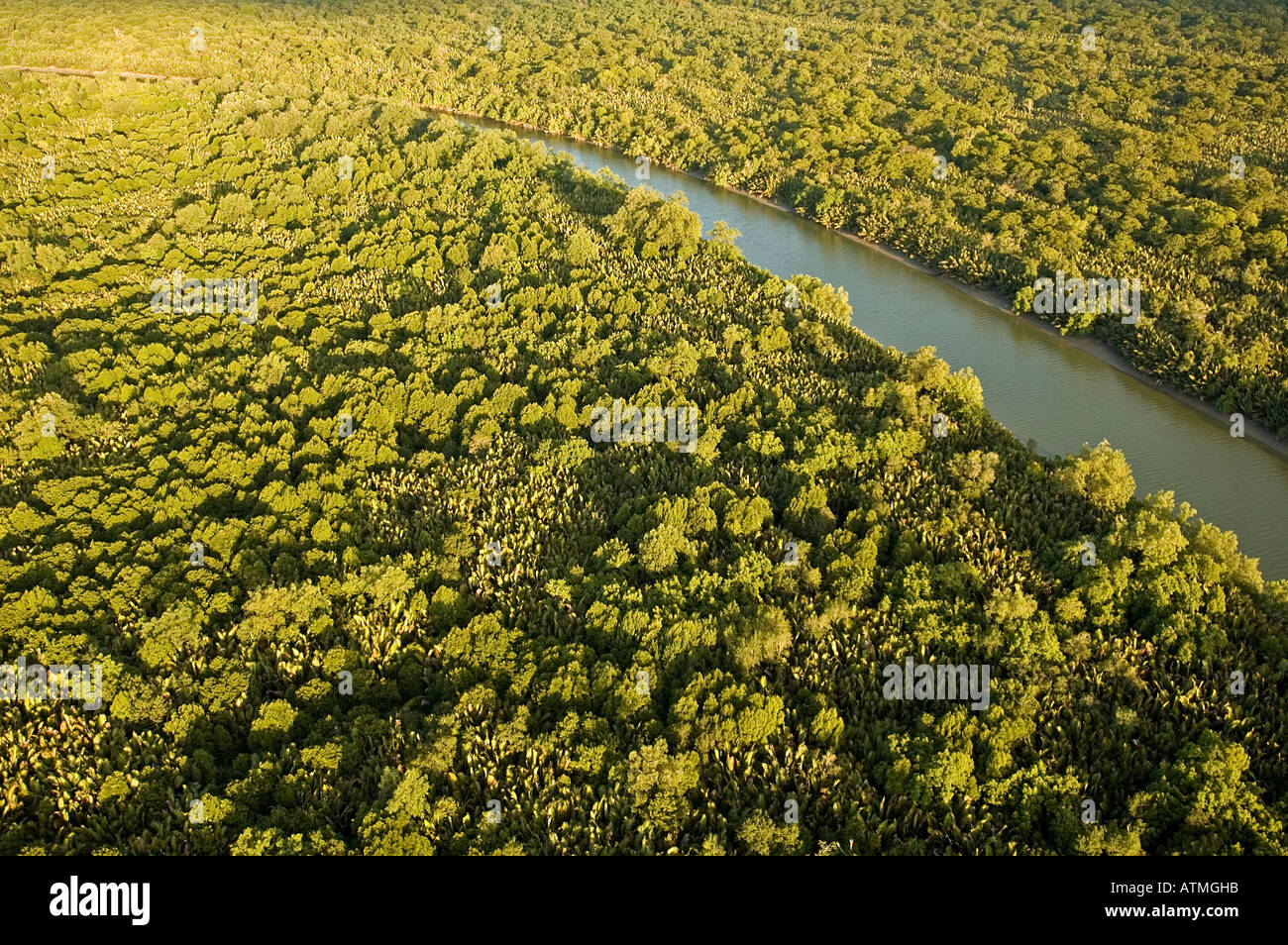 Luftaufnahme der Mangrovenwälder in Kuching und Sarawak River Borneo Malaysia Stockfoto