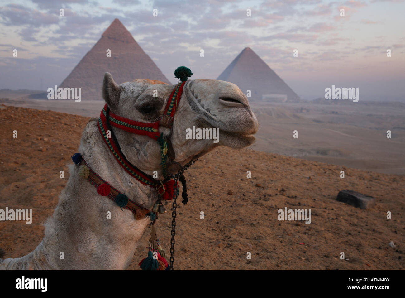 Die Pyramiden in Ägypten, in den frühen Morgenstunden. Stockfoto