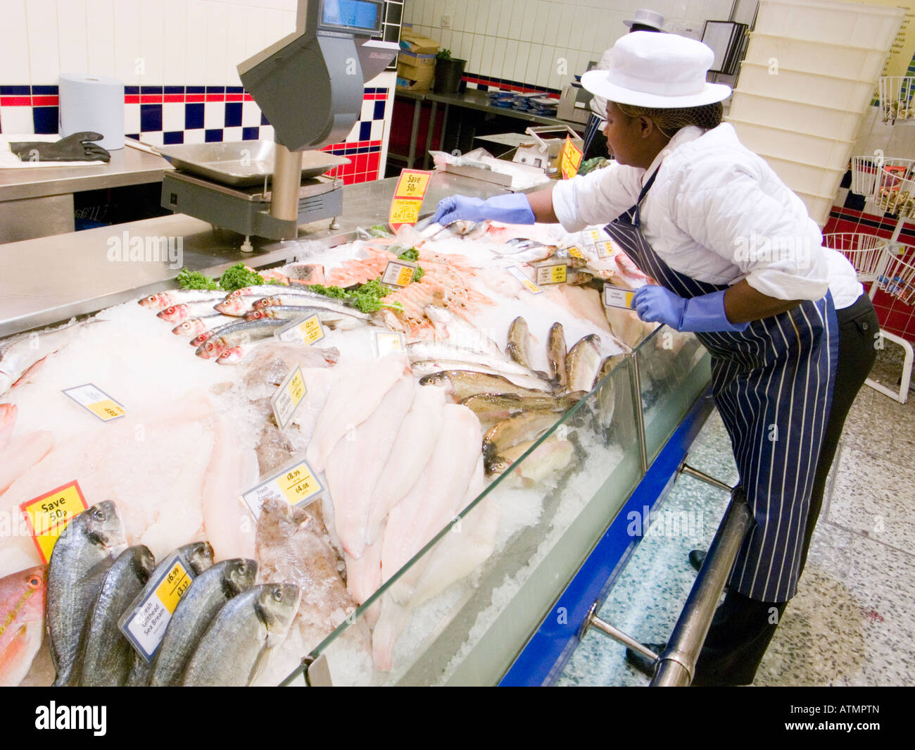 Frischen Fischtheke von Morrisons Supermarkt England, Großbritannien, Vereinigtes Königreich Stockfoto