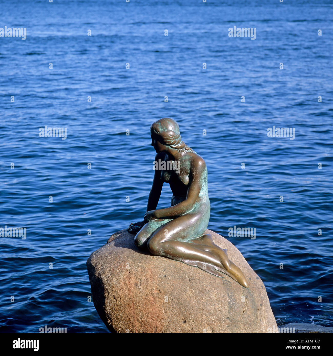 Die kleine Meerjungfrau, Bronzestatue von Edvard Eriksen 1913, Kopenhagen, Dänemark Stockfoto