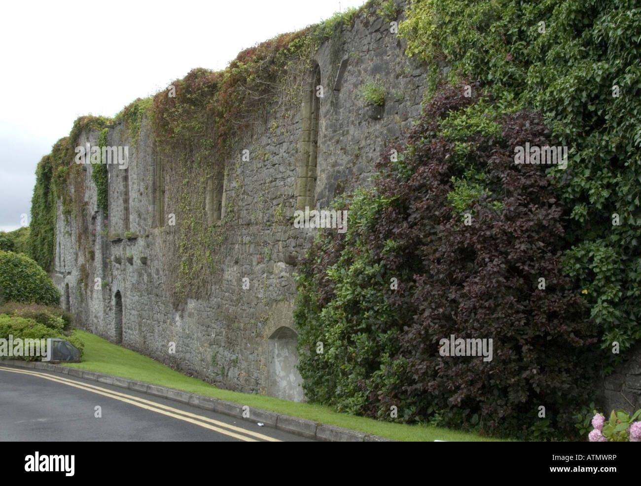 Heilige-Retter s dominikanischen Kloster Limerick City Co Limerick Www Osheaphotography com Stockfoto