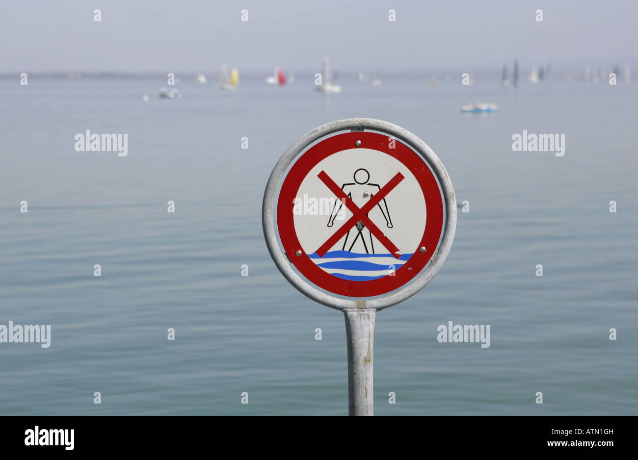 Kein Schwimmen Zeichen am Ufer des Bodensees. Stockfoto