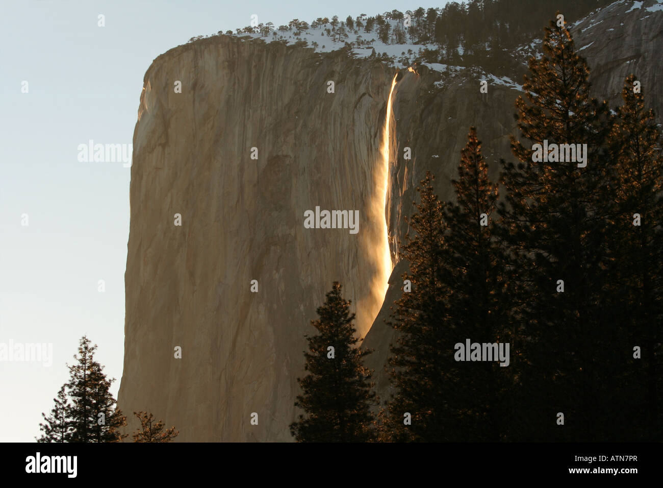 Schachtelhalm Wasserfälle im Yosemite-Nationalpark bei Sonnenuntergang hervorgehoben. Dieses Phänomen tritt nur für ca. zwei Wochen im Winter. Stockfoto