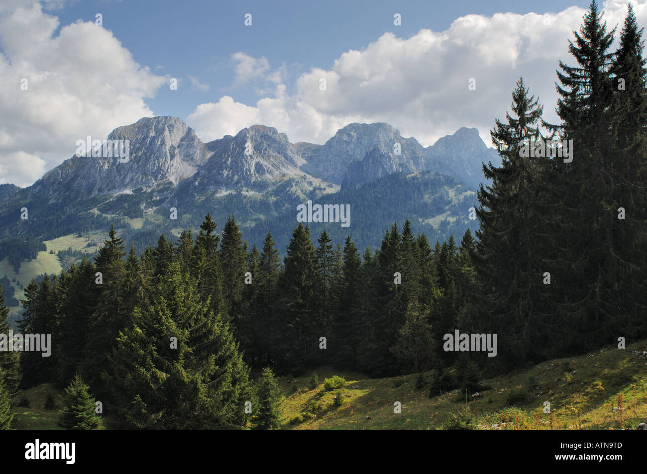 Blick auf die Alpen von La Laitemaire, Chateau d ' Oex, Schweiz Stockfoto
