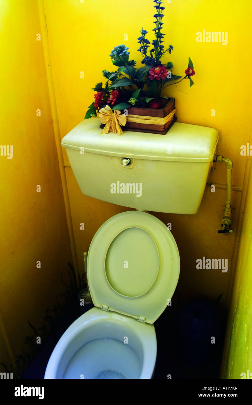 Eine bunt bemalte Toilette in einem Straßencafé, Neuseeland. Stockfoto