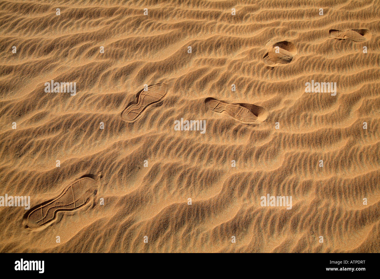 Spuren in der Wüste Dubai 2 Stockfoto