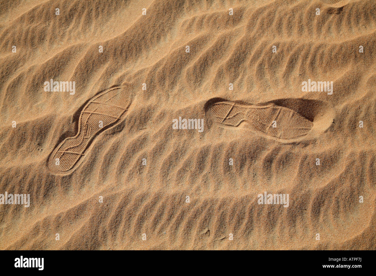 Spuren in der Wüste-Dubai Stockfoto