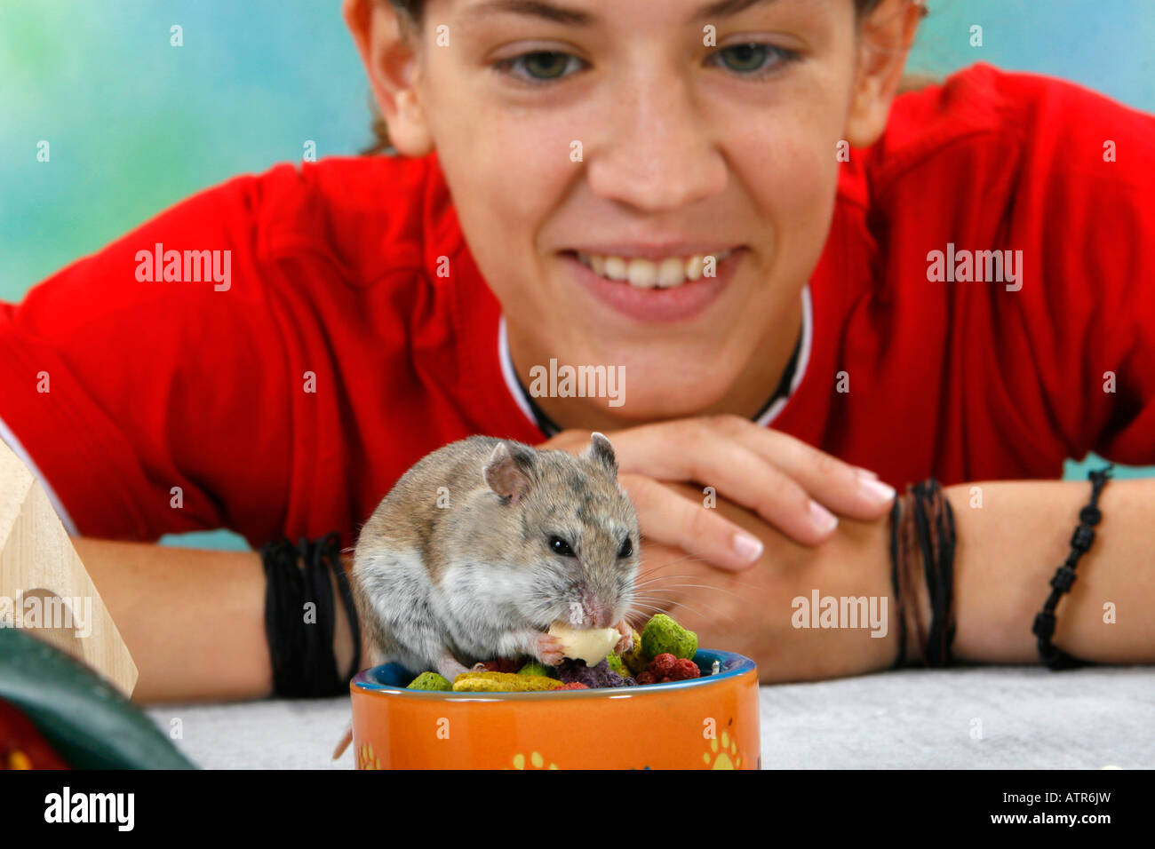 Mädchen mit chinesischen Hamsters Stockfoto