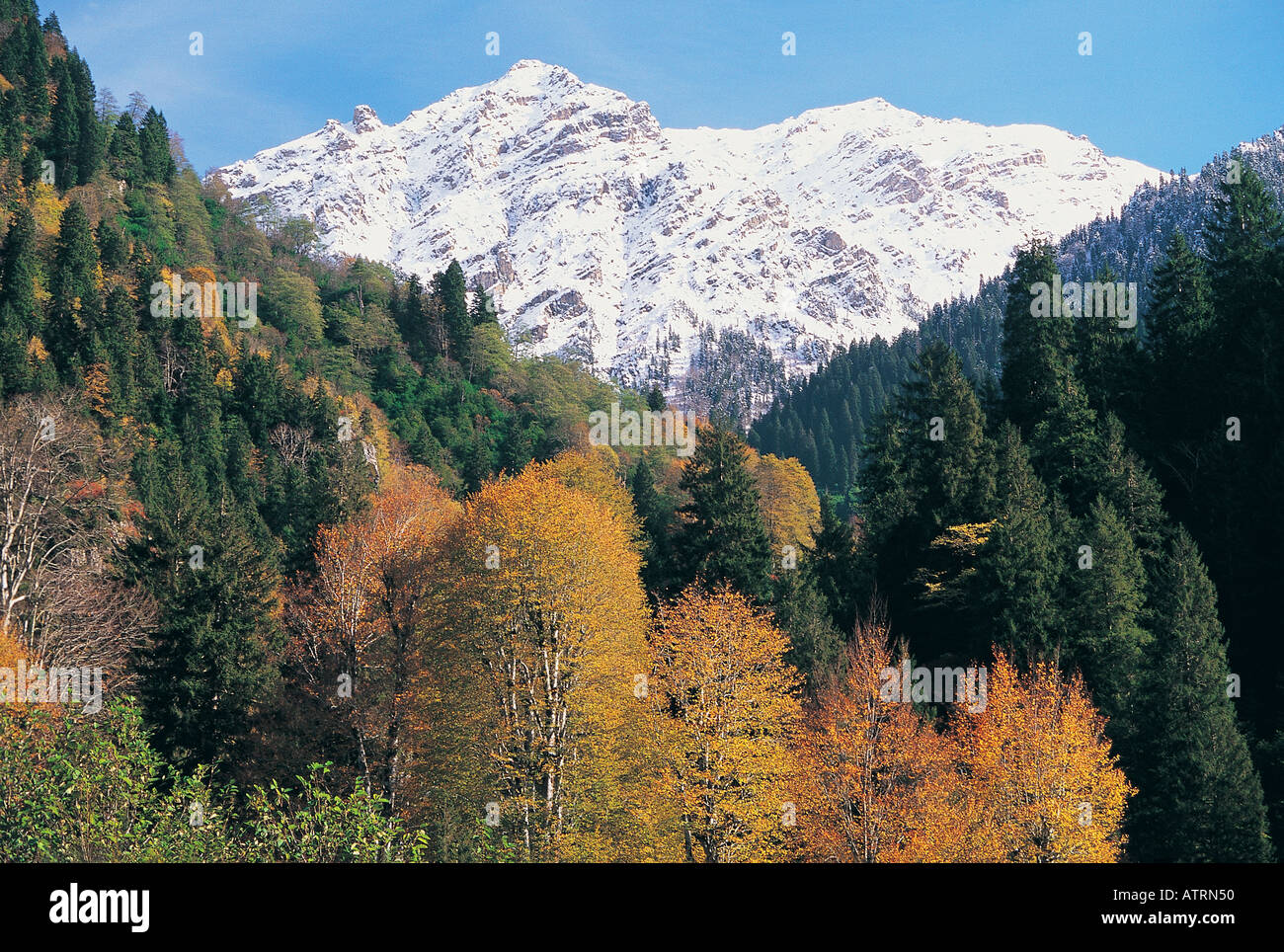 Herbst im Kaçkar Berge der Türkei Stockfoto