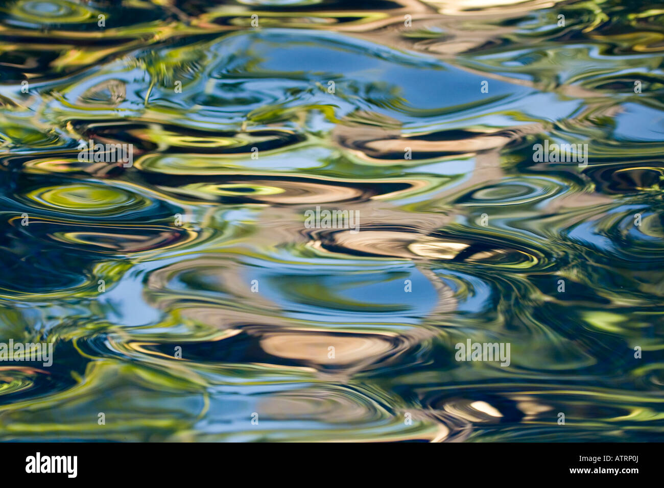 Laub und Himmel spiegeln sich auf ruhigem Wasser, Maui, Hawaii. Stockfoto