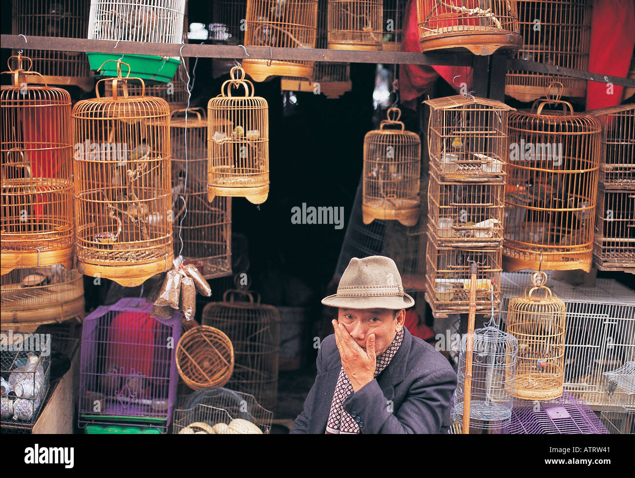 Hängen Sie da Vogelmarkt Hanoi Stockfoto