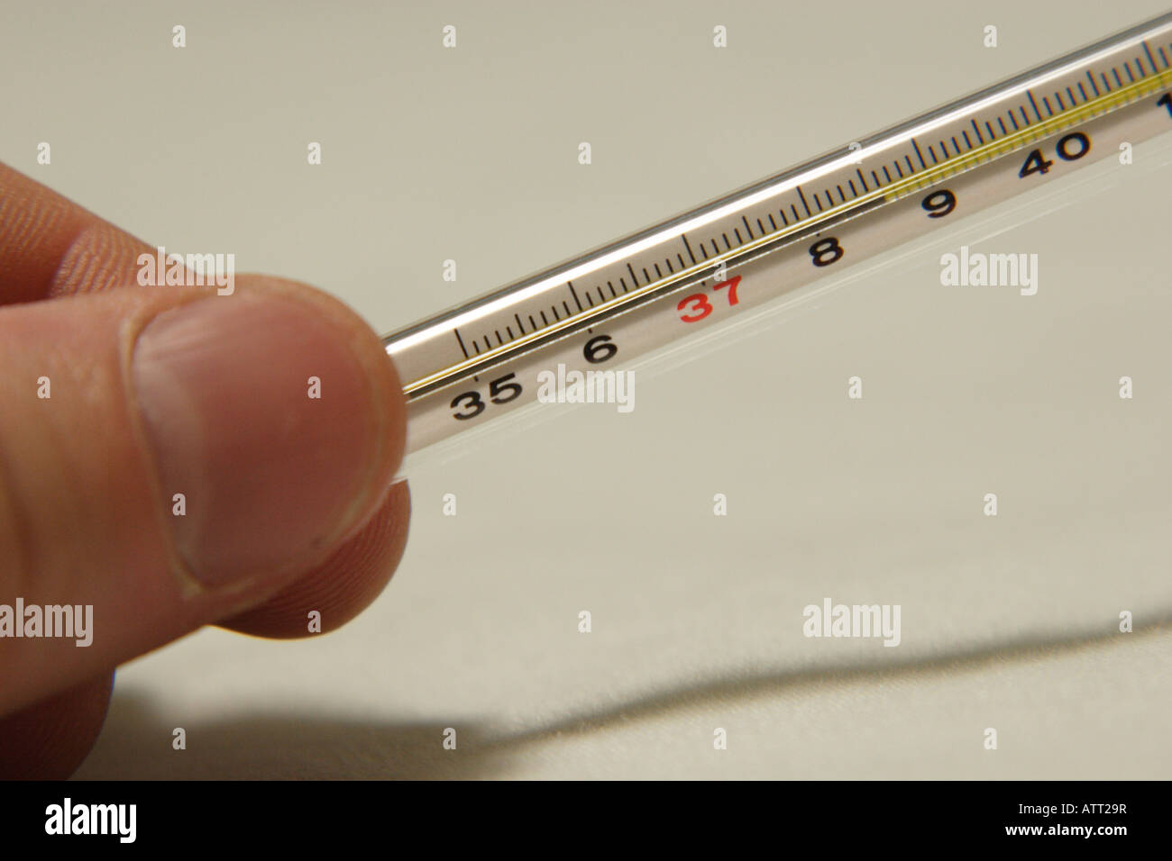 Finger halten ein traditionelles Thermometer mit einer Temperatur von 38,6 Grad celsius, also der Temperatur eines Fiebers Stockfoto