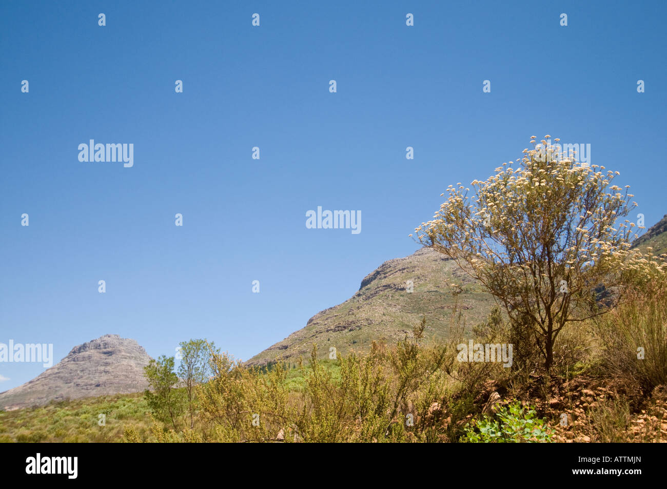 Die Cederberg Wilderness Area im Western Cape in Südafrika Stockfoto