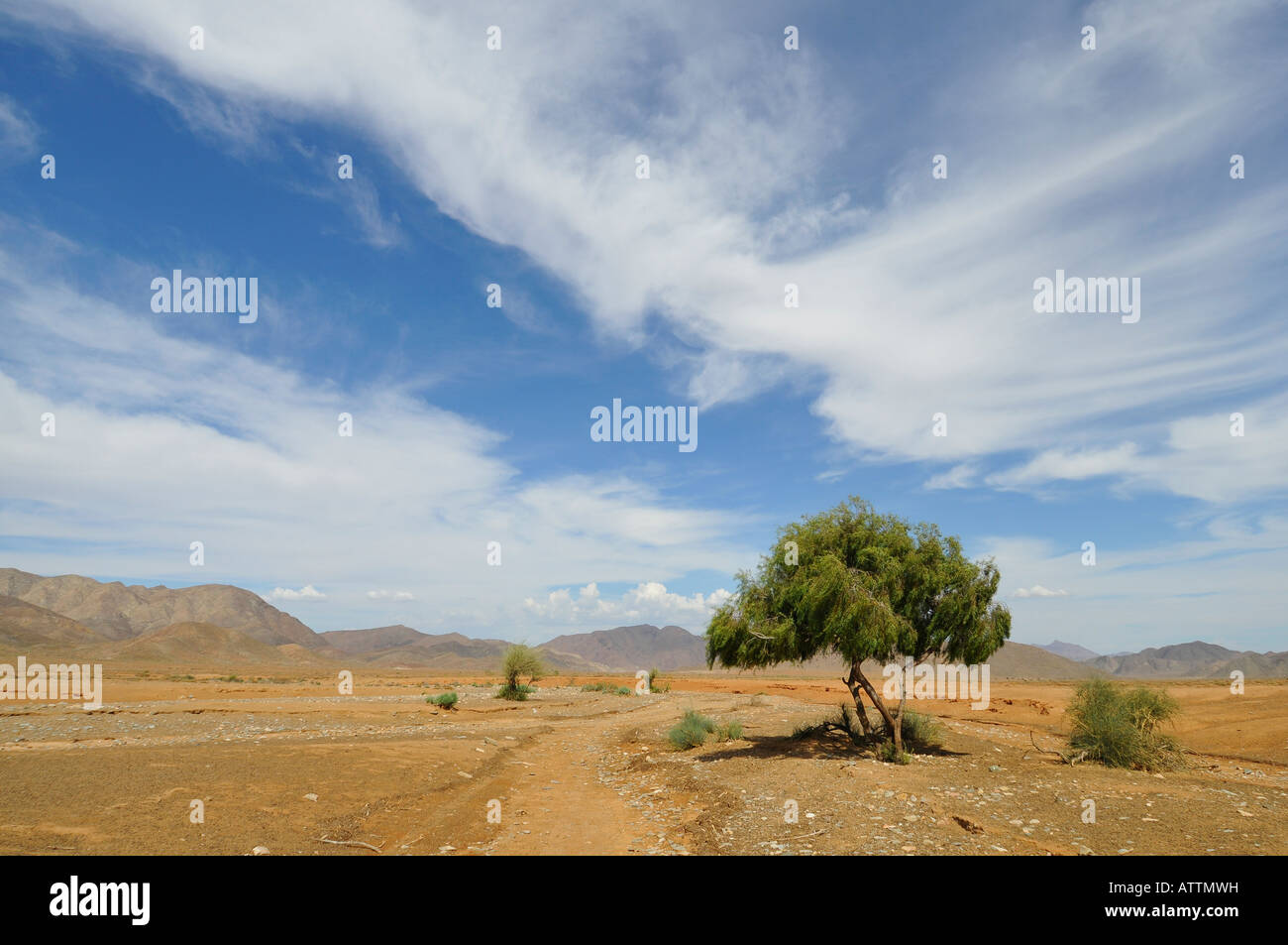 Ai Ais Richtersveld Transfrontier National Park in ausgetrocknete Flussbett mit Nama Schäfer Hütte Stockfoto